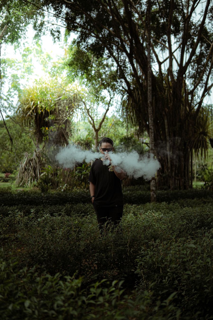 vape kit